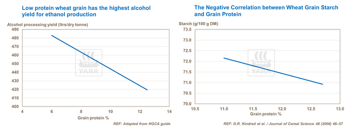Graphique : faible taux de protéines favorise production éthanol