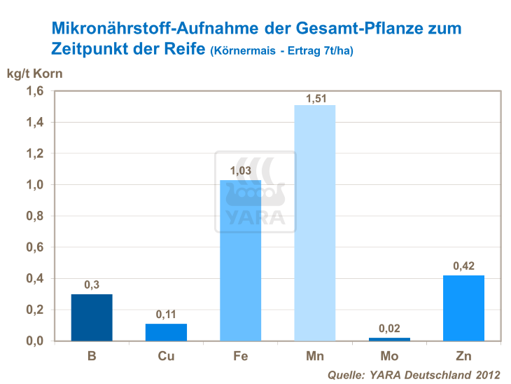 Mikronährstoff-Aufnahme der Gesamt-Pflanze zum Zeitpunkt der Reife
