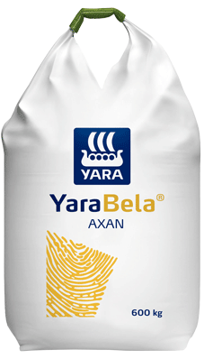 YaraBela Axan BigBag