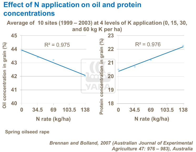 Effet de l'application d'azote sur l'huile et la concentration en protéines