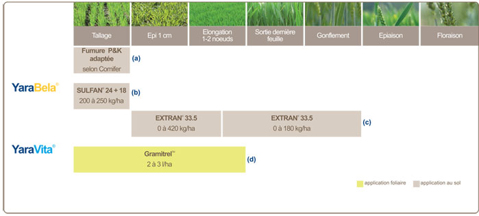 plan de fertilisation