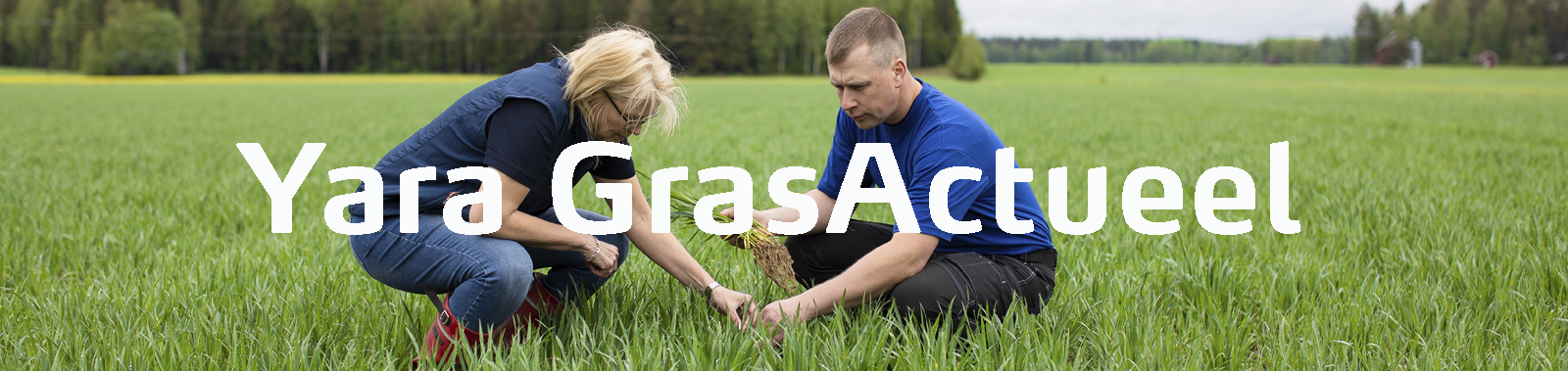 Melkveehouderij Artikelen GrasActueel