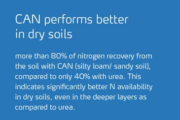 CAN performs better in dry soils