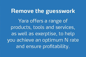 Remove the guesswork