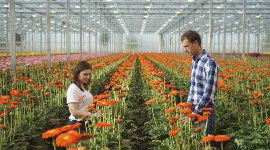 Overstap van vast naar YaraTera EASYFEED  