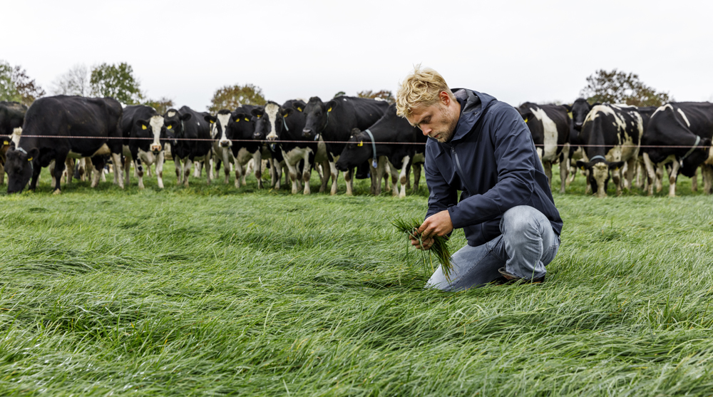 Doe jezelf geen zwaveltekort