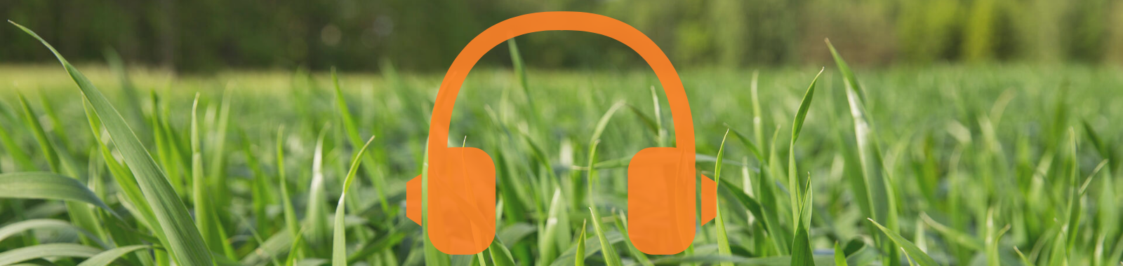 Podcast plaatje met koeien met headphones