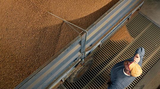 profit thumb 540x300.png