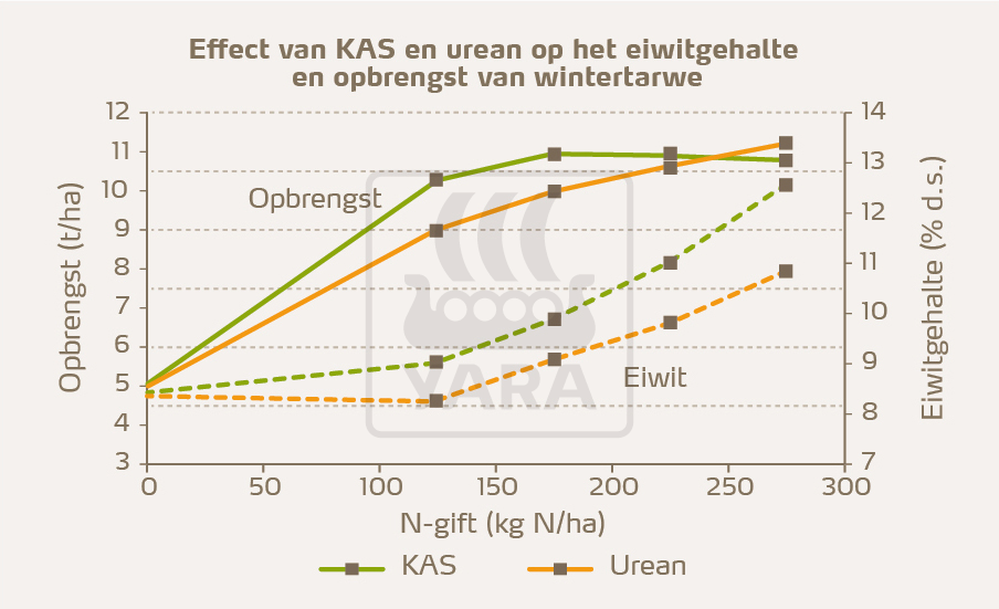 effect van kas