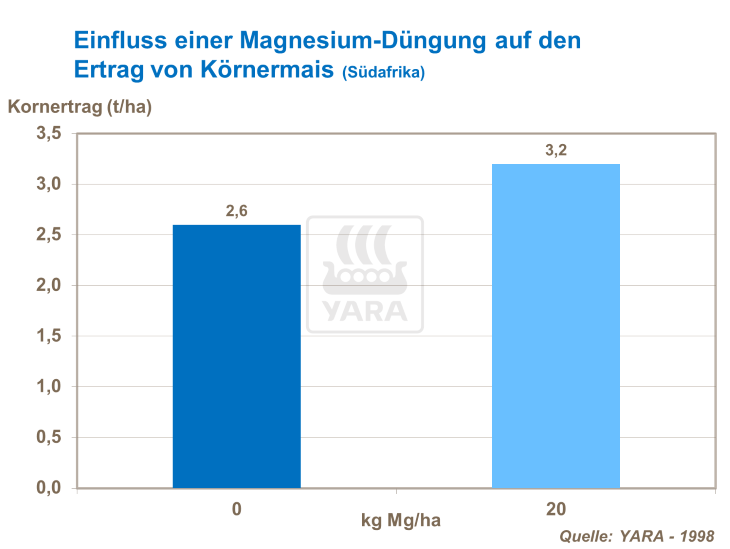 Einfluss einer Magnesium-Düngung auf den Ertrag von Körnermais (Südafrika) 