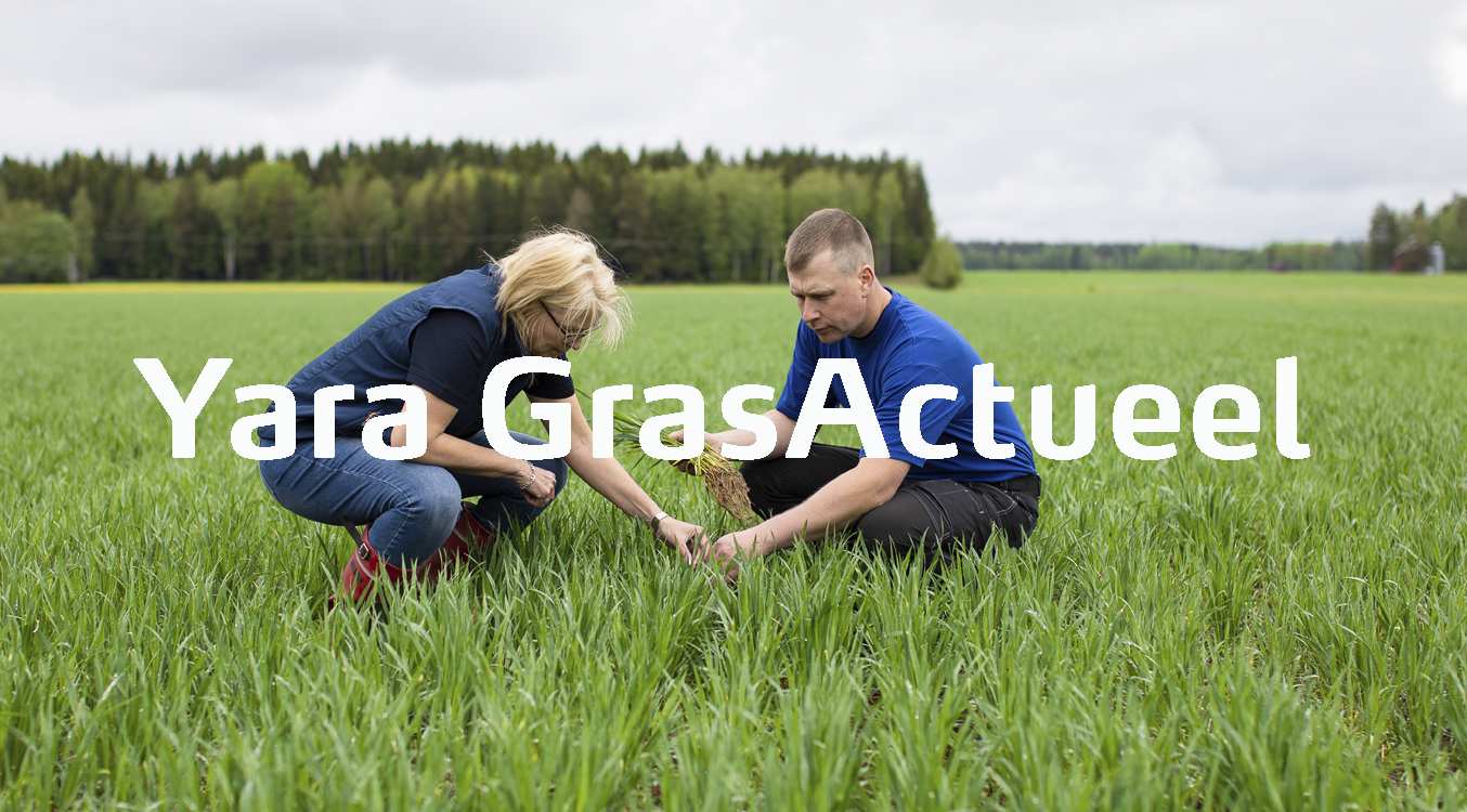 Yara GrasActueel nieuwsbrieven