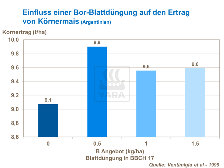 Einfluss einer Bor-Blattdüngung auf den Ertrag von Körnermais