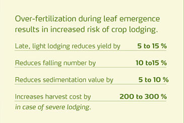 Reduce lodging by 90%