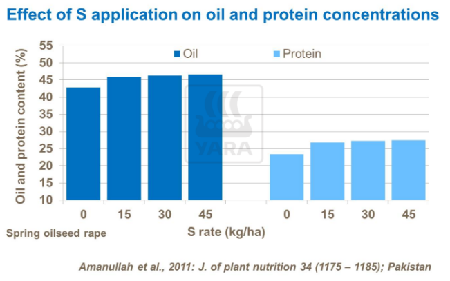 Effet du soufre sur l'huile et concentration de protéines