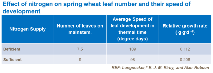 Effet de l'azote sur nombre feuilles et rapidité pousse
