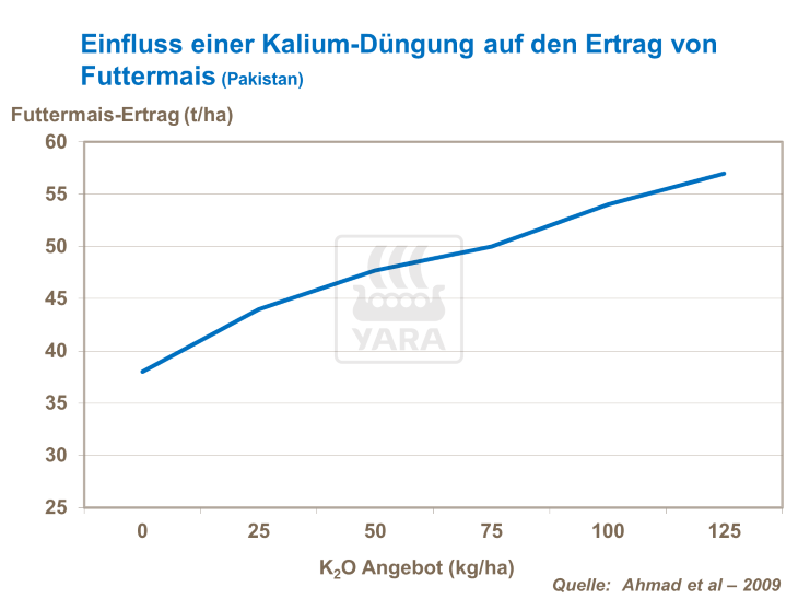 Einfluss einer Kalium-Düngung auf den Ertrag von Futtermais 