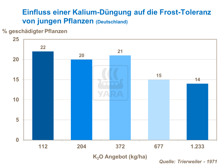 Einfluss einer Kalium-Düngung auf die Frost-Toleranz von jungen Pflanzen (Deutschland)