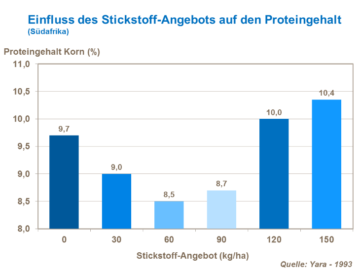 Einfluss des Stickstoff-Angebots auf den Proteingehalt 