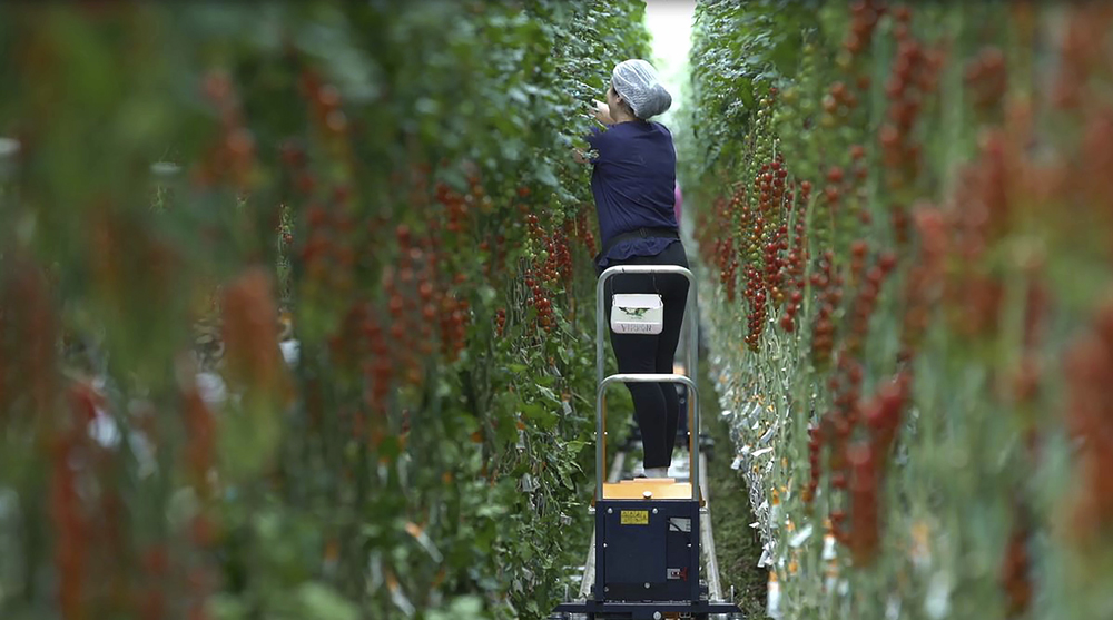 YaraTera EASYFEED in de praktijk