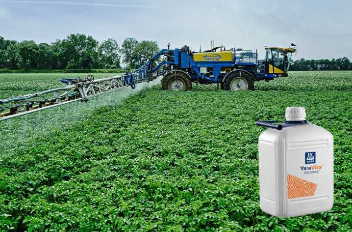 Delvano bladbmesting in aardappelveld