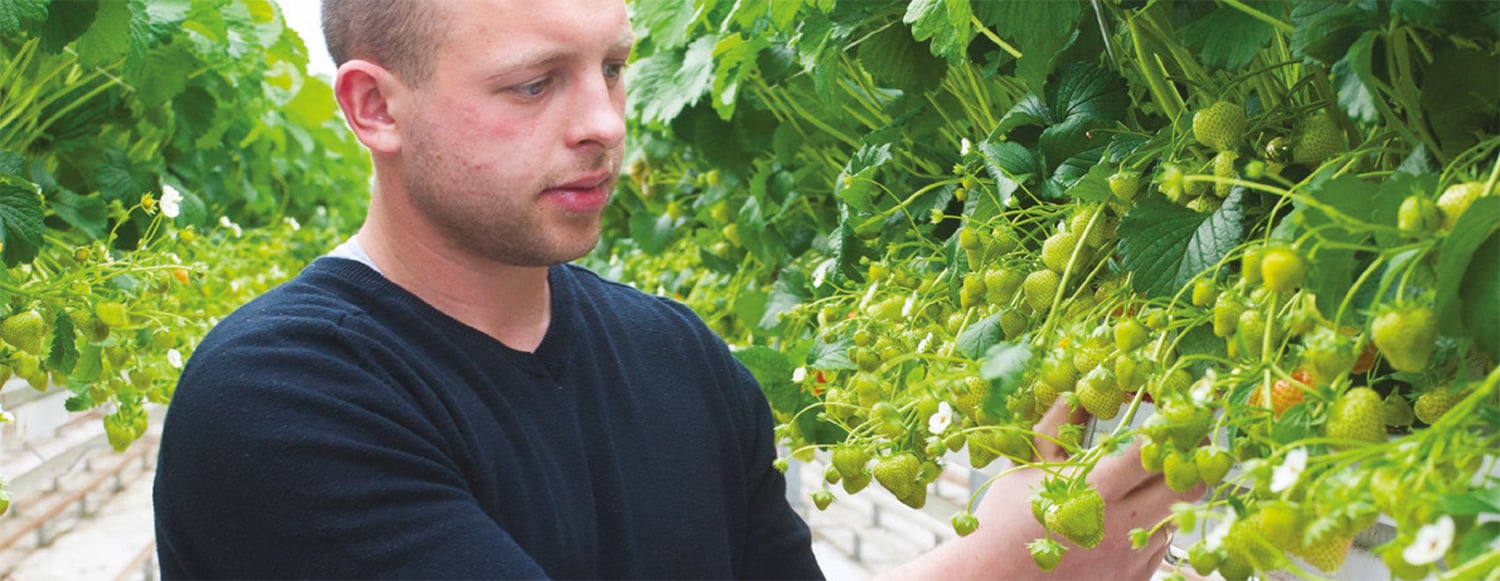 Handboek Nutrient Solutions