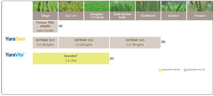 plan de fertilisation