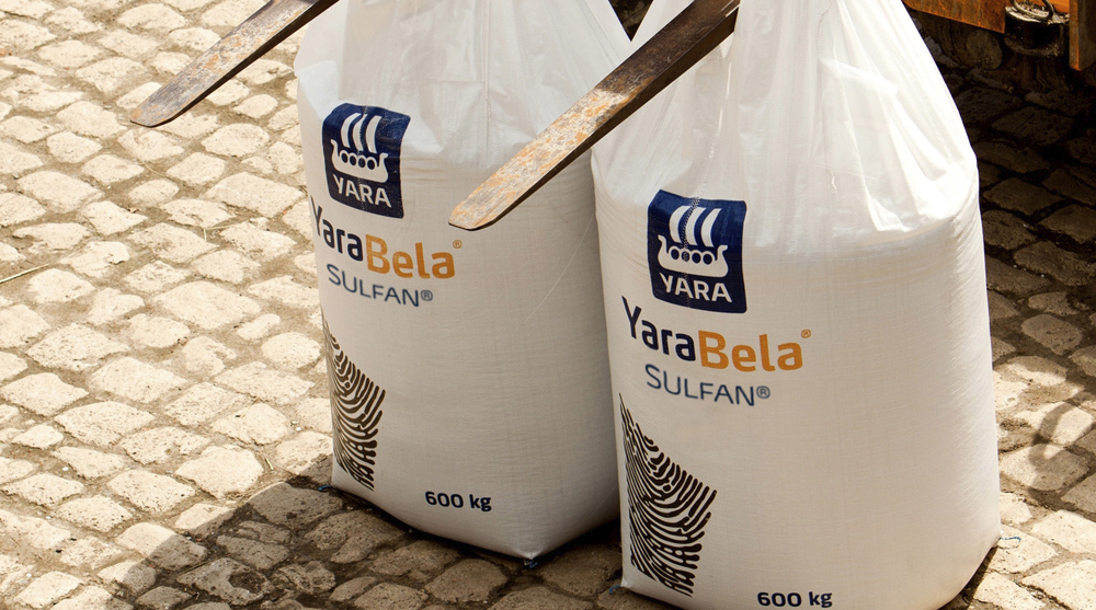 Gesplitste eerste kunstmestgift