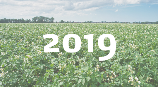 Jaaroverzicht artikelen 2019