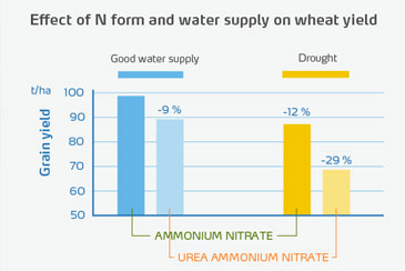 Effect of N form and water supply on wheat yield