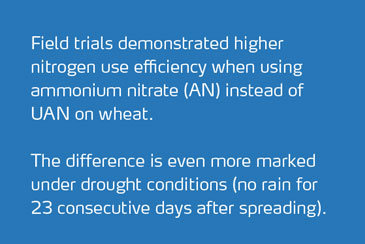 Effect of N form and water supply