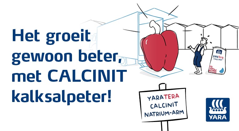 CALCINIT campagne 2020