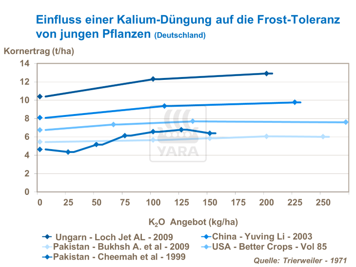 Einfluss einer Kalium-Düngung auf Frost-Toleranz von jungen Pflanzen