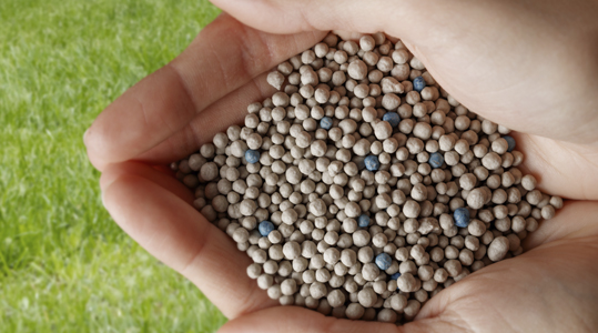 Aug19 - Kwaliteit is blauw PI.jpg