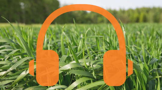 Melkveehouderij podcast