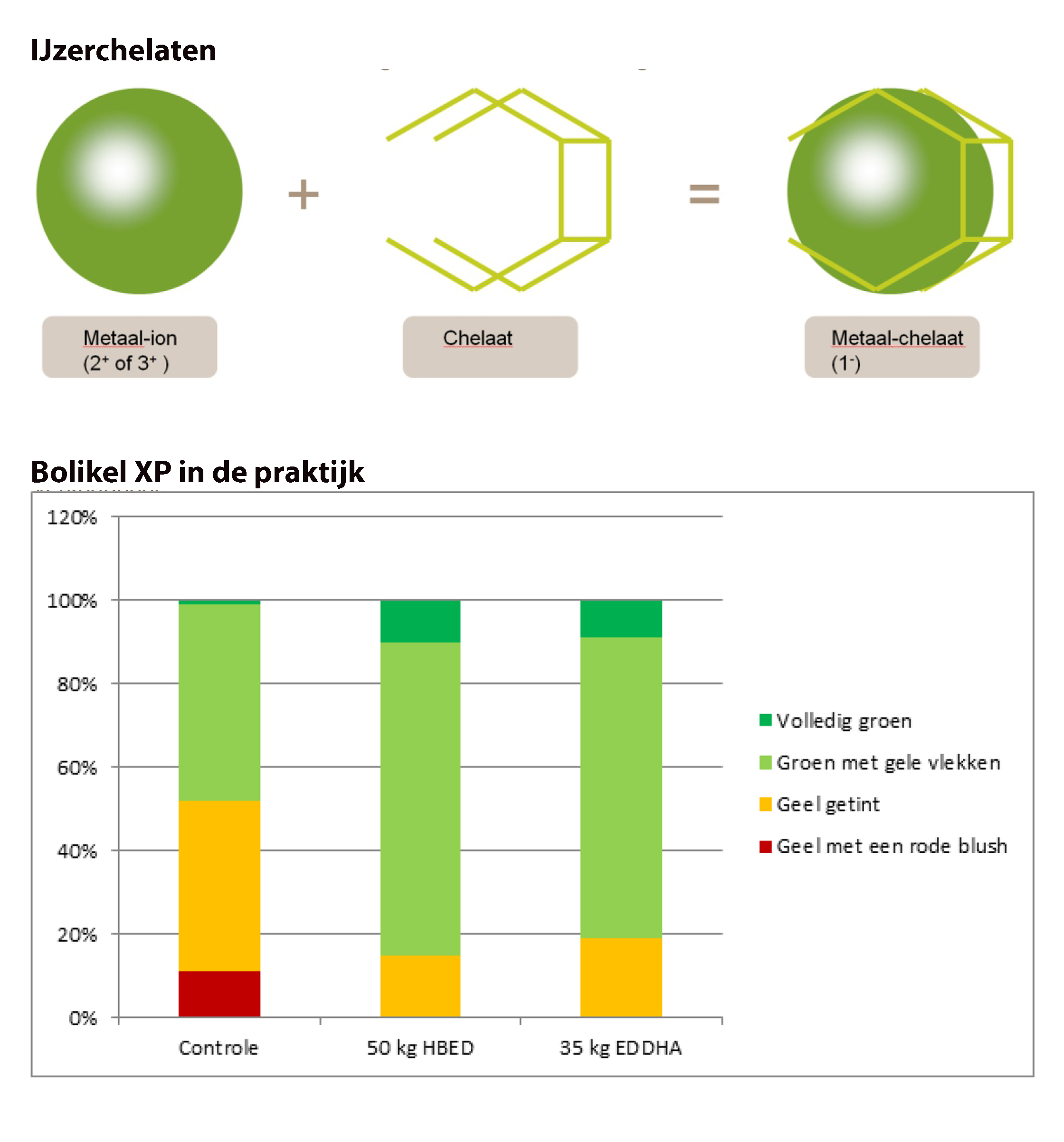Bolikel XP in de praktijk 