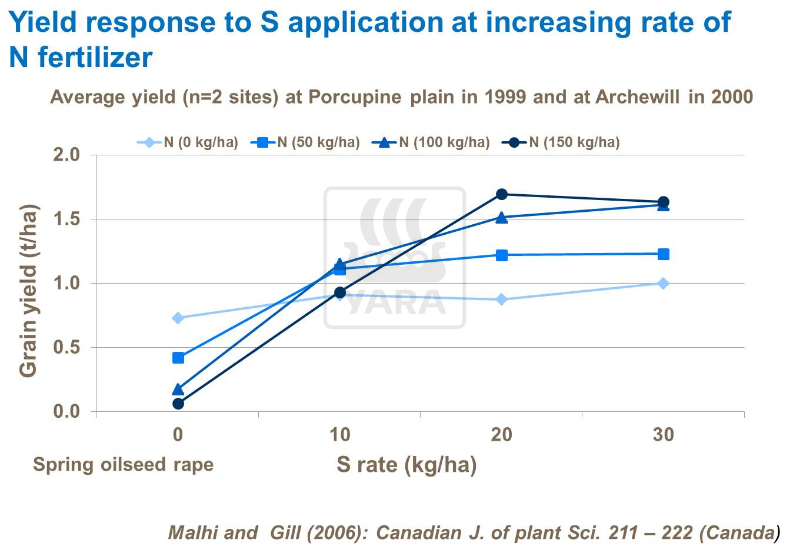 Effet sur le rendement d'application de soufre à taux croissant de fertilisant azoté