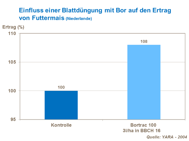 Einfluss einer Blattdüngung mit Bor auf den Ertrag von Futtermais (Niederlande)