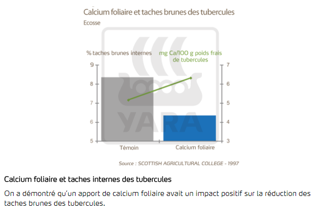 role du calcium