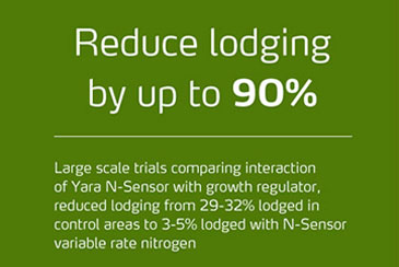 Reduce lodging by 90%