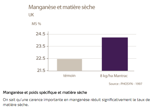 Manganèse et rendement