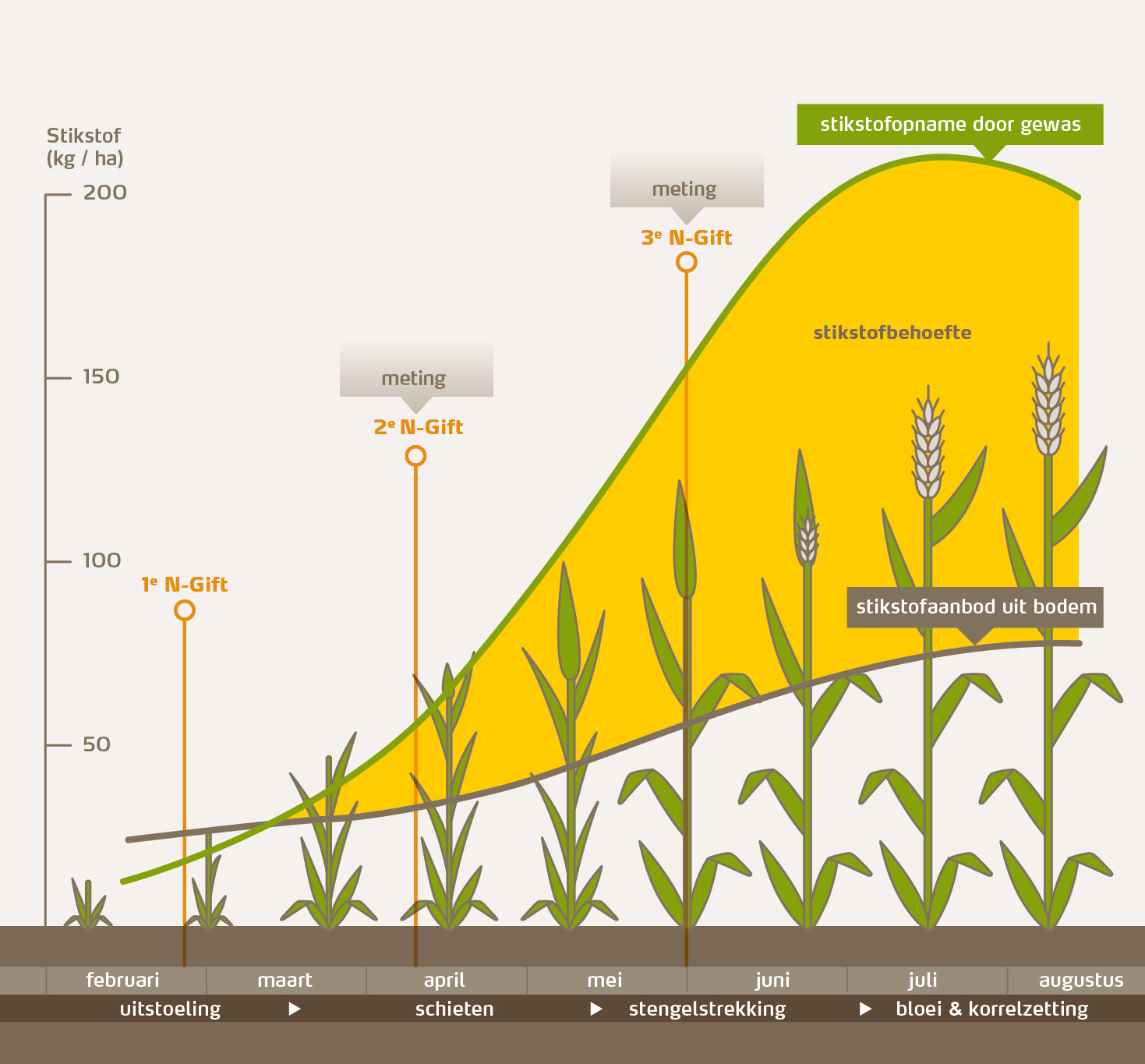 Overzicht uitstoeling