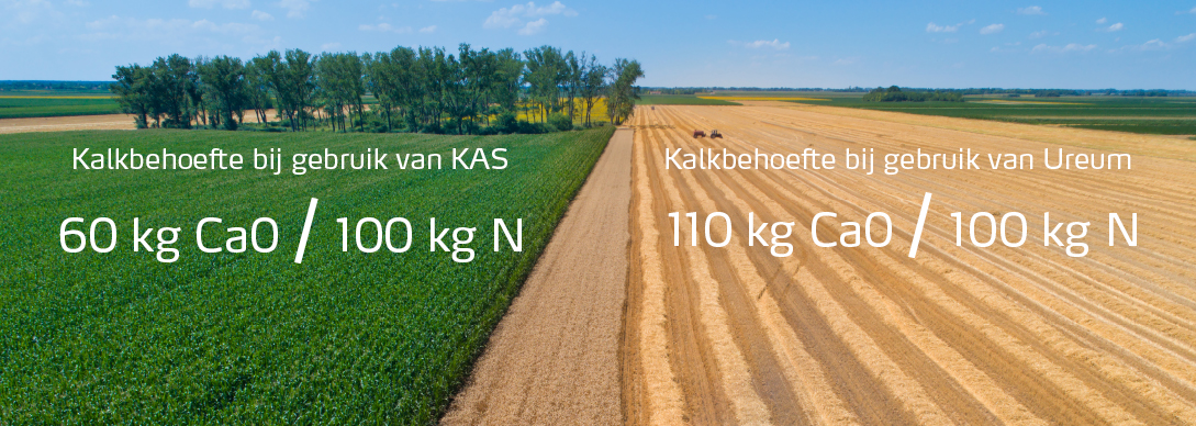 Efficientie Kalkbehoefte.jpg