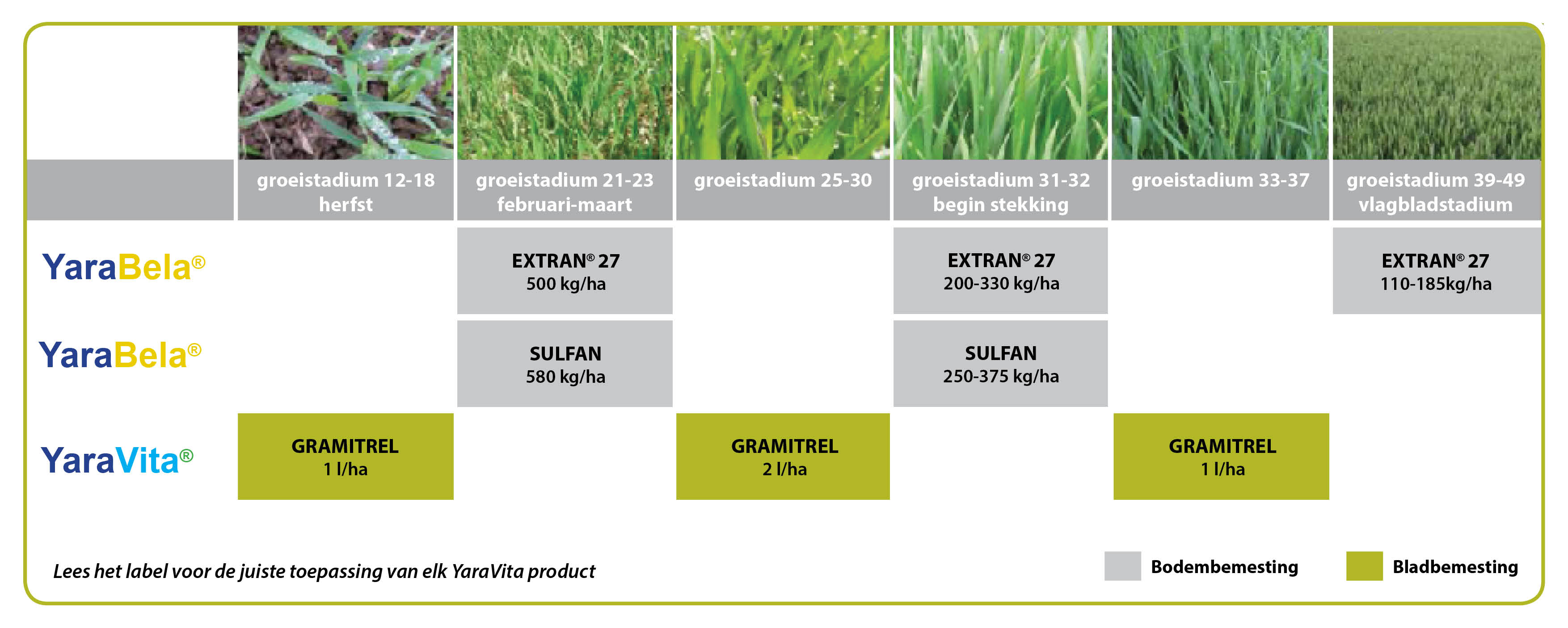 Tarwe bemestingsadvies