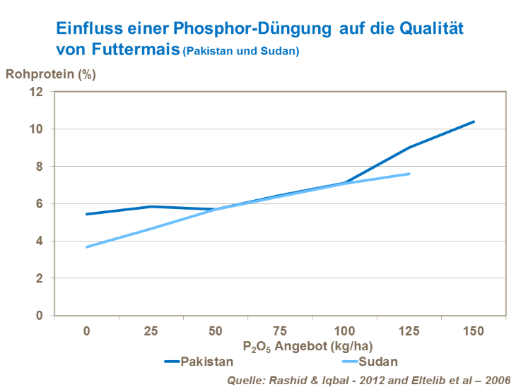 Einfluss einer Phosphor-Düngung auf die Qualität von Futtermais (Pakistan und Sudan)