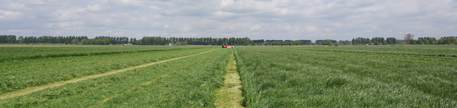 Autres pratiques agronomiques ayant une influence sur le rendement en herbe