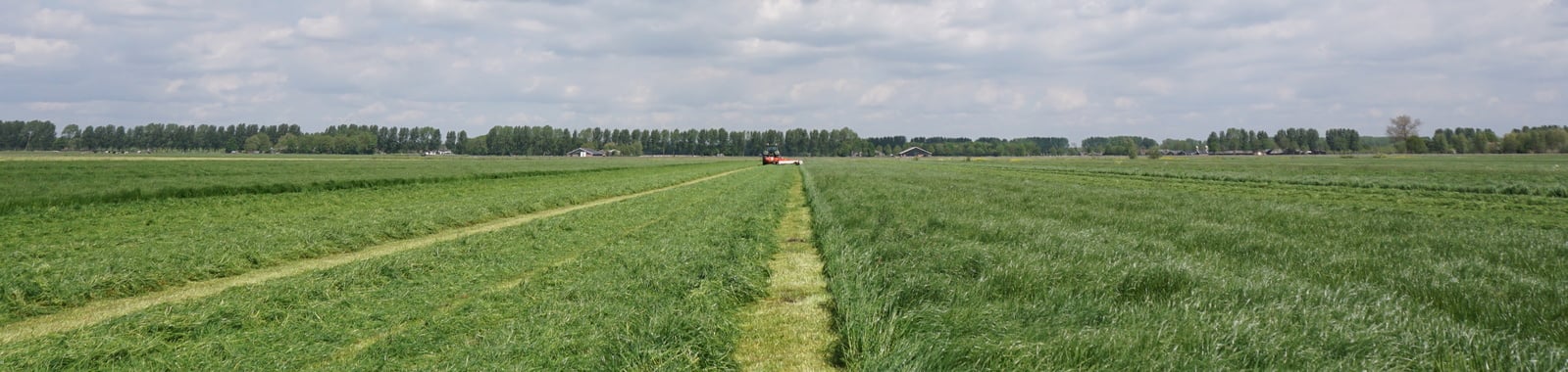 Fosfor en graslandopbrengst