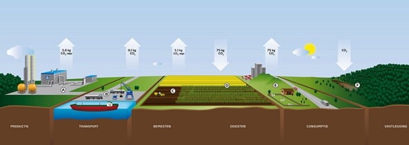 Levenscyslusanalyse kas