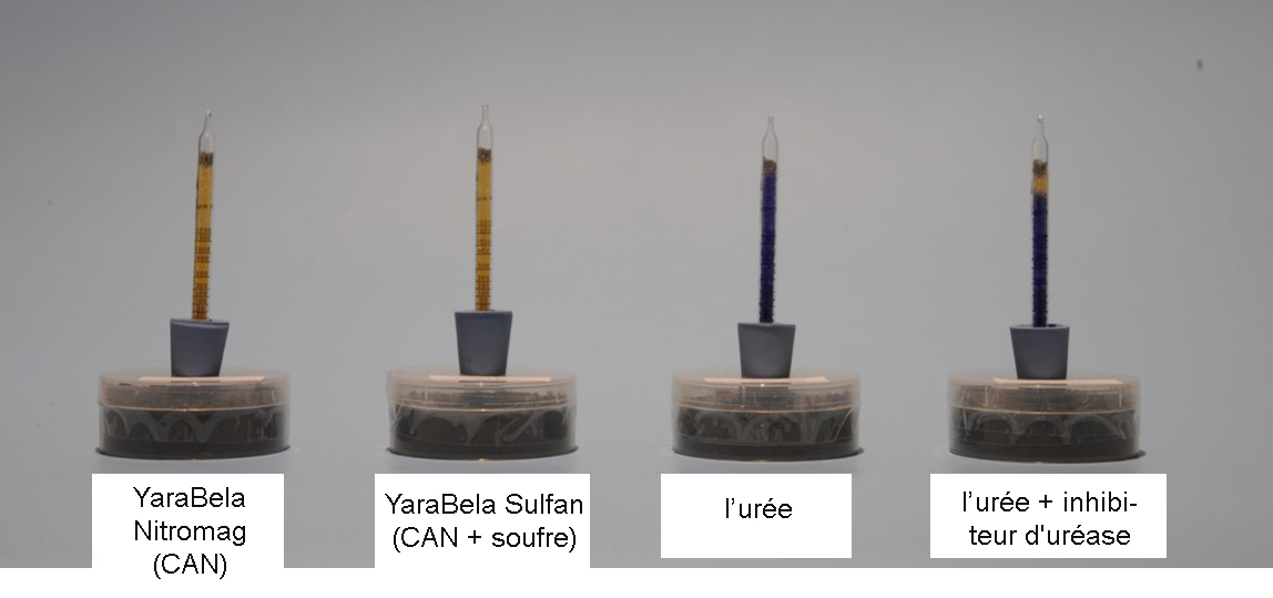 Figure 2  Émissions d'ammoniac 11 jours après l'application - Urée et inhibiteur d’uréase.jpg