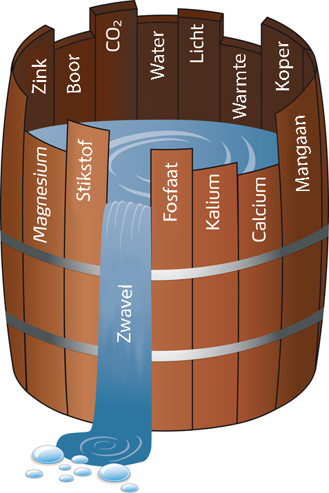 samenvatting voedingselementen