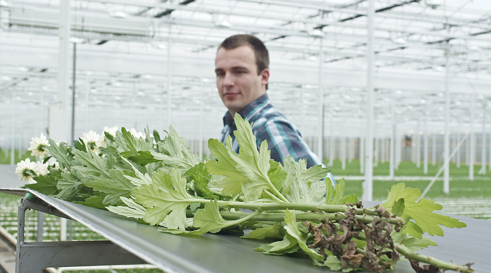 YaraTera SUBSTRAFEED is jarig, al 35 jaar vloeibaar!